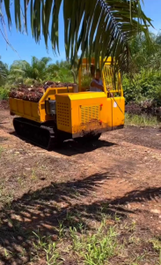 Crawler dumper, angkutan kelapa sawit, dumper sawit, kayu, alat berat angkut kayu
